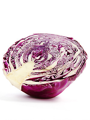 포토 JPG 스튜디오촬영 음식 백그라운드 채소 식재료 단면 실내 누끼 사람없음 농작물 양배추 적채 국내포토 농업 내부 파일형식