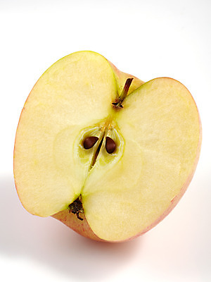 포토 JPG 스튜디오촬영 식물 열매 음식 백그라운드 과일 단면 실내 누끼 사람없음 농작물 사과 국내포토 농업 내부 파일형식