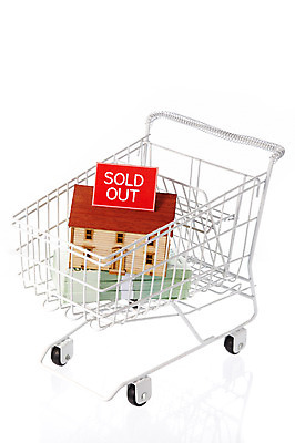 포토 JPG 스튜디오촬영 시설물 건축물 건축 산업 컨셉 지폐 돈 부동산 주택 실내 누끼 사람없음 건물 경제 모형 카트 쇼핑카 미니어처 만원 돈다발 장바구니 부동산매매 부동산거래 집매매 매진 임대 전세 국내포토 내부 쇼핑 바구니 재산 파일형식