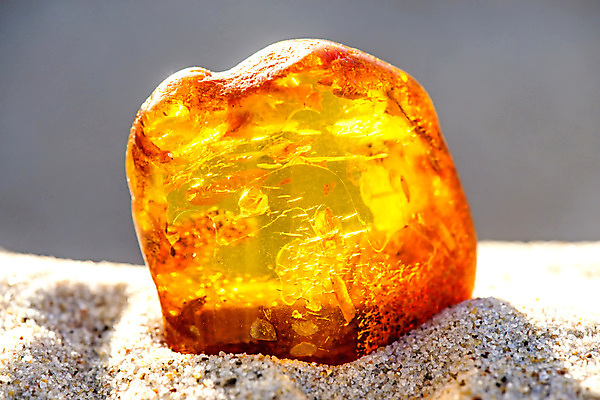 포토 JPG 해외이미지 자연 사람없음 빛 주황색 투명 보석 화석 앰버 해외포토 컬러 광석 생태계 파일형식