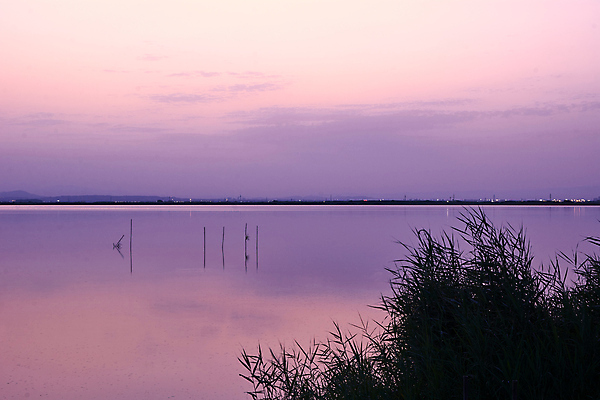 포토 JPG 해외이미지 구름 라이프스타일 공원 호수 바다 줄기 오렌지 자연 조류 낚시 휴가 사람 풍경 사람없음 빨간색 물 여름 태양 노란색 쌓기 평화 웹 일몰 뜨거움 보트 스페인 자주색 왜가리 장어 제비꽃 주말 천국 라일락 석호 내추럴 발렌시아 수평선 해외202009 해외포토 자연요소 식물 동물 계절 공공시설 꽃 유럽 컬러 컨셉 인터넷 배_교통 과일 모션 레저 어류 생활 노을 생태계 파일형식
