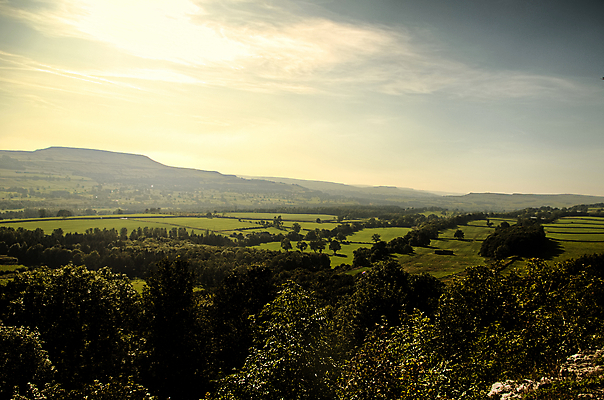 포토 JPG 해외이미지 나무 영어 유럽 여행 밭 휴가 영국 잉글랜드 국립공원 풍경 사람없음 초록색 농장 농경지 여행객 침묵 농촌 시골 땅 요크셔테리어 그림 북쪽 전국 해외202009 해외포토 식물 문자 공원 나라 컬러 농업 사람 소리 테리어 방향 파일형식