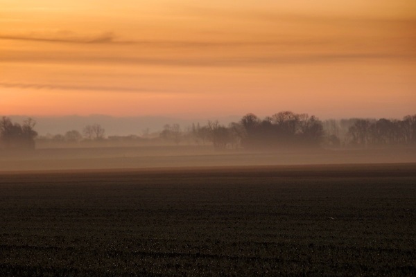 포토 JPG 해외이미지 겨울 자연 사람없음 안개 시골 해외202009 해외포토 계절 날씨 생태계 파일형식