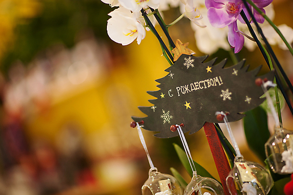 포토 JPG 해외이미지 모양 디자인 꽃 별 백그라운드 크리스마스 겨울 공 유리 휴가 새로움 매달리기 선물 사람없음 목재 장식 빛 장식볼 흰색 축하 원형 눈송이 그리기 소프트포커스 연도 오브젝트 전나무 여의주 해외202009 해외포토 자연요소 도형 나무 식물 계절 기념일 컬러 컨셉 재료 모션 재질 눈_날씨 촬영기법 파일형식