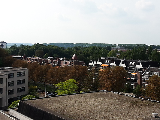 포토 JPG 해외이미지 음식 농업 비즈니스 건축양식 사람 사람없음 건물 반사 자전거 도시 시장 모서리 냄비 네덜란드 대학교 정사각형 광장 미로 지도책 포럼 해외202009 해외포토 도형 건축물 건축 유럽 산업 학교 책 바이크 솥 토론 파일형식