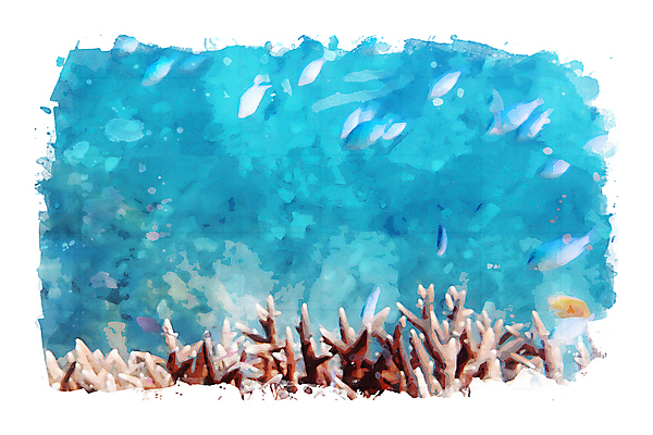 포토 JPG 해외이미지 동물 바다 일러스트 자연 수채화 사람없음 그림 섞기 해외202009 해외포토 생태계 파일형식