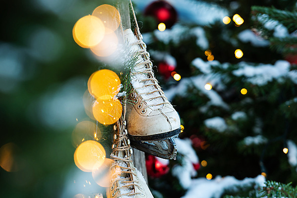 포토 JPG 해외이미지 나무 전통 디자인 계절 백그라운드 신발 컨셉 크리스마스 겨울 공 휴가 새로움 주택 매달리기 선물 사람없음 장식 빨간색 초록색 빛 숫자 얼음 축제 화환 스케이트 스케이팅 수확 골동품 흰색 나뭇가지 시골 축하 소나무 쌍 칼날 12월 가죽 복고 전나무 옛날 해외202009 해외포토 자연요소 식물 문자 기념일 꽃 스포츠용품 컬러 농업 모션 겨울스포츠 건물 날짜 파일형식