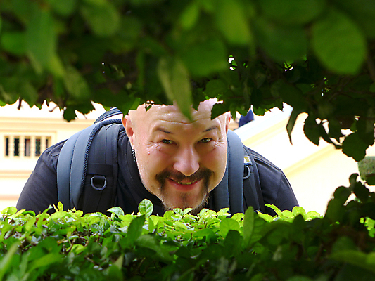 포토 JPG 해외이미지 나무 모델 직업 라이프스타일 응시 남자 얼굴 포즈 백그라운드 티셔츠 성공 수염 표정 한명 서기 미소 사람 성인 가로 유행 검은색 회색 흰색 나뭇가지 비즈니스맨 자신감 긍정 팔 고립 진짜 혼자 스타일 해외202009 해외포토 식물 1 시선 감정 컬러 컨셉 셔츠 비즈니스 모션 생활 신체부위 직장인 파일형식