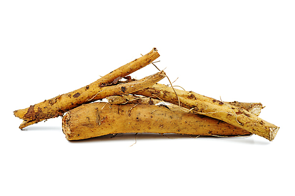 포토 JPG 해외이미지 식물 전통 백그라운드 재료 건조 건강 사람없음 약 흰색 신선 약초 허브 유기농 날것 뿌리 내추럴 고립 해외202009 해외포토 웰빙 컬러 의학 풀_식물 파일형식