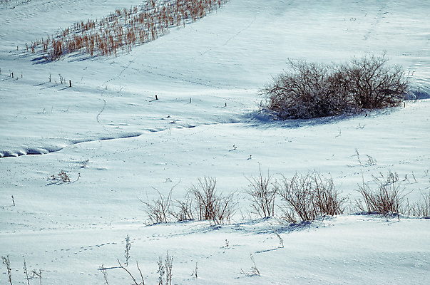 포토 JPG 해외이미지 나무 계절 유럽 여행 백그라운드 겨울 밭 농업 자연 풍경 초원 사람없음 파란색 태양 농장 농경지 여행객 냉동 침묵 목장 추위 흰색 나뭇가지 시골 스페인 고독 농부 밀 묘사 서리 밀짚 내추럴 밭일 생태학 슬로바키아 폭설 눈내림 수평선 해외202009 해외포토 자연요소 식물 직업 교육 감정 나라 산업 컬러 곡류 눈_날씨 사람 소리 짚 자연재해 생태계 파일형식