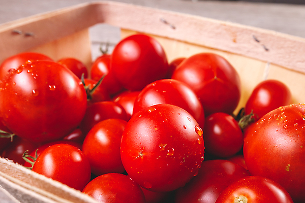 포토 JPG 해외이미지 식물 음식 백그라운드 농업 다이어트 토마토 채소 재료 방울토마토 탁자 표면 건강 사람없음 목재 빨간색 초록색 갈색 노란색 수확 나뭇가지 신선 체리 시장 닫기 맛 유기농 질감 건강식 내추럴 바이오 숙성 채식주의자 비건 맛있는 해외202009 해외포토 나무 웰빙 산업 컬러 가구 컨셉 과일 모션 채식 파일형식