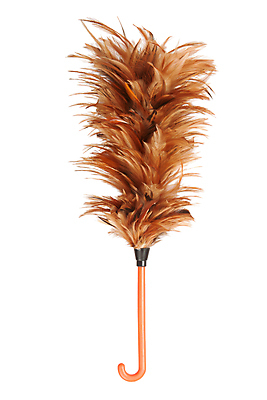 포토 JPG 해외이미지 사람없음 고급 작음 먼지떨이 청소도구 깃털 오브젝트 해외202009 해외포토 컨셉 도구 크기 청소 파일형식