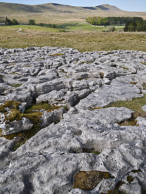 포토 JPG 해외이미지 여행 자연 병원 풍경 사람없음 야외 물 여름 파란색 빛 바위 보행로 요크셔테리어 언덕 부식 내추럴 석회암 해외202009 해외포토 자연요소 계절 길 컬러 의학 암석 돌_바위 테리어 생태계 파일형식