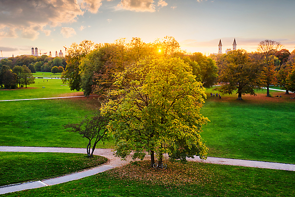 포토 JPG 해외이미지 나무 영어 계절 공원 유럽 잎 오렌지 자연 독일 풍경 잔디 사람없음 야외 목재 가로 여름 컬러풀 햇빛 노란색 여행객 정원 맑음 가을 도시 황금 그림 10월 강렬 뮌헨 옥토버페스트 바이에른 해외202009 해외포토 식물 문자 공공시설 나라 컬러 과일 재료 날씨 사람 태양 날짜 생태계 파일형식