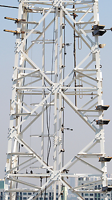 포토 JPG 해외이미지 접시 산업 인터넷 통신 하늘 모바일 세포 안테나 사람없음 빨간색 파란색 스마트폰 글로벌 탑 금속 장비 인공위성 도시 네트워크 전자레인지 역 연결 무선전화기 전화기 라디오 신호 방송 전염 돛대 전송 송신기 철강 셀룰러 해외202009 해외포토 식기 건축물 컬러 교통시설 재질 전자제품 핸드폰 스마트기기 가전제품 레인지 질병 감염 파일형식