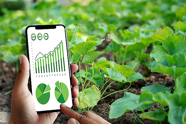 포토 JPG 해외이미지 식물 여자 산업 백그라운드 컨셉 밭 농업 인터넷 채소 비즈니스 자연 노동자 사람 사람없음 초록색 컴퓨터 알약 농장 환경 디지털 잡기 네트워크 시장 어플리케이션 보호 농부 땅 무선전화기 스마트 읽기 분석 보고서 내추럴 밭일 센서 소프트웨어 유전자변형 세련 해외202009 해외포토 직업 컬러 모션 전자제품 약 전화기 생태계 파일형식