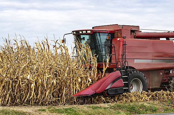 포토 JPG 해외이미지 식물 산업 도로 음식 백그라운드 밭 농업 교통시설 자동차 자연 건강 풍경 사람없음 빨간색 초록색 여름 파란색 농작물 농장 노란색 정원 기계 장비 운전 수확 시골 신선 업무 바퀴 농부 땅 묘사 원예 트랙터 짐차 무거움 엔진 내추럴 돌봄 밭일 자동 해외202009 해외포토 직업 계절 길 육상교통 컬러 교통 모션 취미 작업 무게 농기계 시설 생태계 특수차량 파일형식