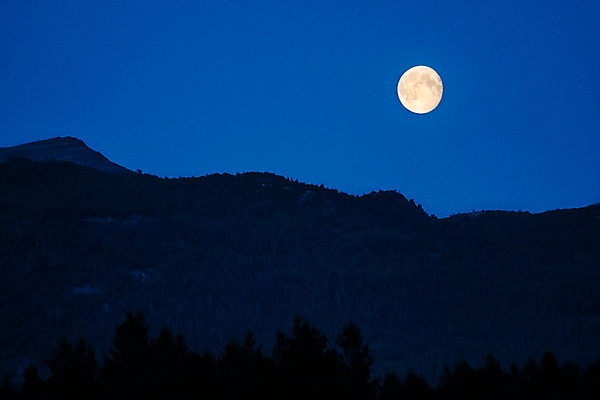 포토 JPG 해외이미지 나무 여행 백그라운드 자연 하늘 산 노르웨이 풍경 사람없음 야외 여름 파란색 빛 노란색 검은색 어둠 황혼 새벽 달 야간 저녁 숲 달빛 산등성이 스칸디나비아 절정 해외202009 해외포토 자연요소 식물 계절 유럽 컬러 일몰 생태계 파일형식