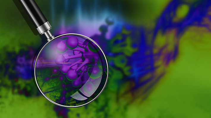 포토 JPG 해외이미지 일러스트 돋보기 세포 건강 사람없음 3D 디지털 바이러스 질병 만들기 암 박테리아 해외202009 해외포토 의학 모션 디지털합성 파일형식