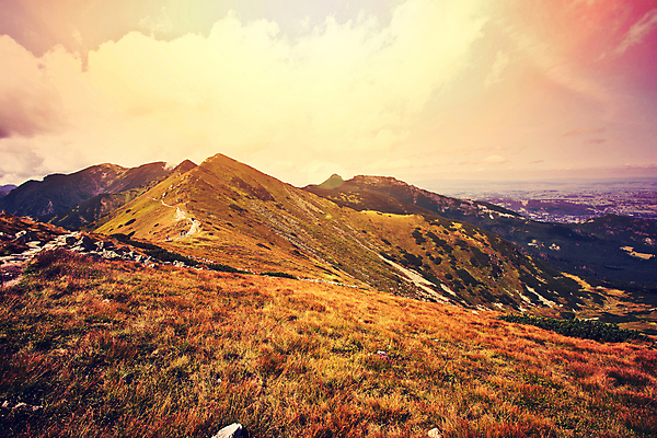 포토 JPG 해외이미지 나무 식물 구름 공원 길 여행 오렌지 자연 하늘 아침 산 풍경 사람없음 야외 초록색 물 여름 파란색 빛 강 햇빛 노란색 평화 환경 어둠 일몰 새벽 수확 안개 달 가을 바위 황무지 황금 저녁 숲 산등성이 내추럴 뿌연 서쪽 소셜네트워크 해외202009 해외포토 주간 자연요소 계절 공공시설 컬러 컨셉 농업 과일 날씨 태양 노을 돌_바위 야간 방향 생태계 파일형식