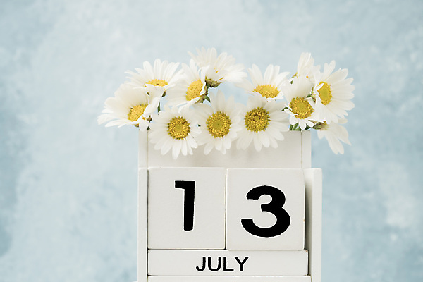 포토 JPG 해외이미지 식물 템플릿 계절 꽃 꽃다발 백그라운드 컨셉 사람없음 목재 여름 파란색 숫자 노란색 다이어리 블록 수확 달력 흰색 시간 날짜 계획 큐브 오브젝트 질감 복고 데이지 7월 내추럴 월 옛날 오늘 조언 카피스페이스 해외202009 해외포토 나무 문자 컬러 농업 재료 사무용품 공백 파일형식