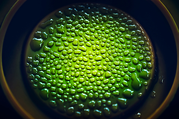 포토 JPG 해외이미지 접시 과학 세포 건강 병원 실험 사람없음 초록색 스터디 약 환경오염 실험실 바이러스 질병 DNA 생명공학 분석 생물학 감염 전염 미생물 박테리아 조제 백신 예방접종 해외202009 해외포토 식기 교육 컬러 컨셉 의학 생물 학습 만들기 접종 파일형식