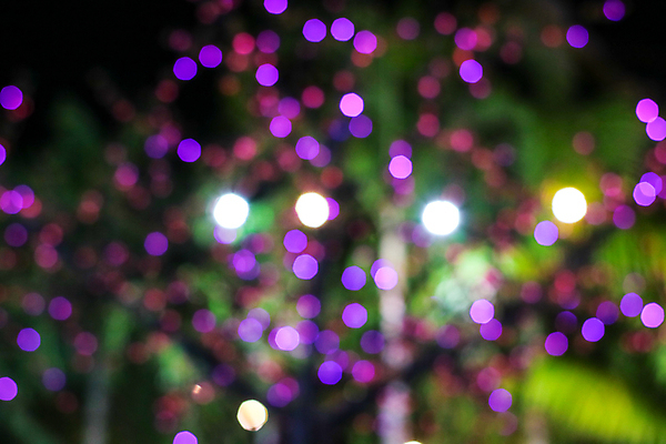 포토 JPG 해외이미지 나무 디자인 계절 행복 줄 백그라운드 크리스마스 전구 탁자 추상 휴가 전등 새로움 주택 매달리기 사람없음 야외 목재 장식 빨간색 초록색 빛 컬러풀 파티 정원 검은색 축제 어둠 수확 흰색 축하 상품 야간 연도 보케 뒤뜰 블러 해외202009 해외포토 자연요소 식물 기념일 감정 컬러 가구 컨셉 무늬 농업 재료 모션 조명 이벤트 건물 파일형식