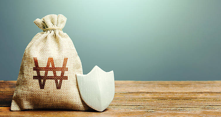 포토 JPG 해외이미지 컨셉 돈 회색배경 한국 안전 사람없음 금융 경제 원화 수비 돈자루 재산 보호 방패 해외202009 해외포토 아시아 백그라운드 모션 회색 파일형식