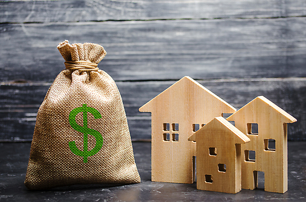 포토 JPG 해외이미지 컨셉 돈 부동산 사람없음 금융 달러 돈자루 재산 집모양 나무배경 해외202009 해외포토 모양 백그라운드 경제 파일형식