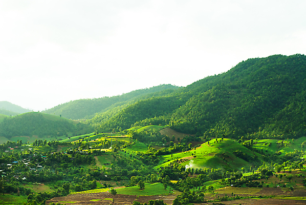 포토 JPG 해외이미지 나무 식물 구름 계절 공원 야생동물 여행 백그라운드 꽃무늬 자연 하늘 날씨 산 파노라마 풍경 초원 사람없음 야외 목재 여름 빛 컬러풀 햇빛 태양 환경 안개 가을 전원 시골 신선 정상 숲 땅 천국 전나무 내추럴 산악지대 생태학 해외202009 해외포토 자연요소 동물 공공시설 교육 꽃 컬러 무늬 재료 촬영기법 전기에너지 생태계 파일형식