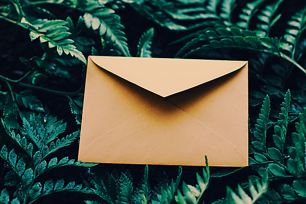 포토 JPG 해외이미지 잎 편지봉투 사람없음 목업 카피스페이스 해외202009 해외포토 식물 봉투 공백 편지 파일형식