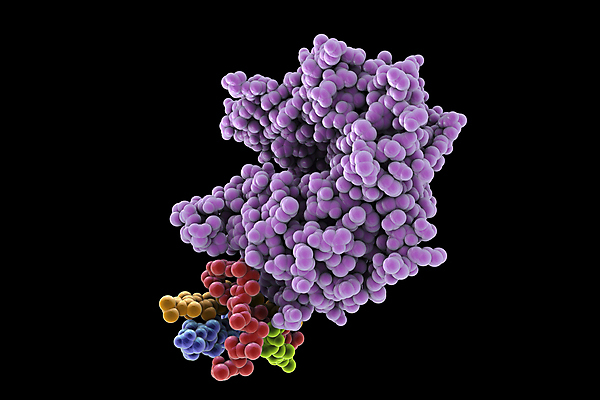 포토 JPG 해외이미지 모델 과학 백그라운드 일러스트 사람 사람없음 약 3D 검은색 중국 호흡기관 바이러스 질병 감염 테라피 고립 단백질 백신 화학물질 해외202009 해외포토 아시아 컬러 의학 뷰티 장기_의학 화학 디지털합성 영양소 파일형식