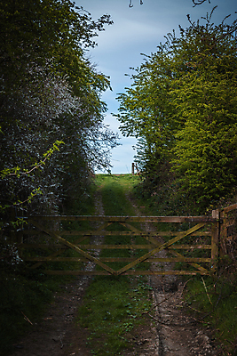 포토 JPG 해외이미지 주간 나무 공원 길 야생동물 농업 자연 하늘 영국 풍경 사람없음 목재 초록색 여름 울타리 햇빛 태양 농장 갈색 걷기 환경 봄 하이킹 나뭇가지 시골 소 보호 농부 숲 오솔길 땅 요크셔테리어 대문 좁은 서식지 일반 내추럴 벌거벗은 삼림지대 얇은 전국 해외202009 해외포토 자연요소 식물 동물 직업 계절 공공시설 유럽 산업 컬러 컨셉 재료 포유류 모션 레저 담장 문 테리어 생태계 파일형식