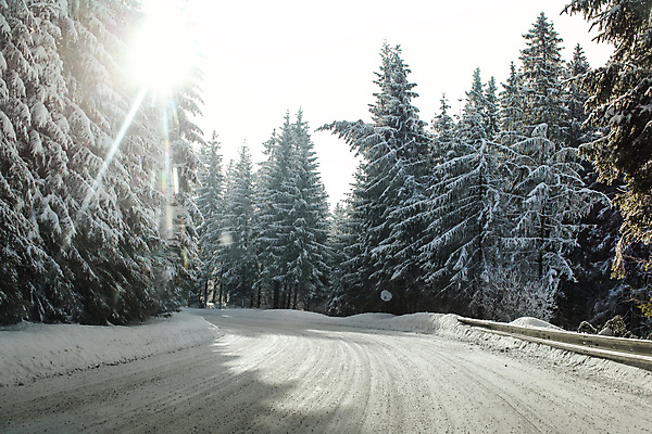 포토 JPG 해외이미지 나무 도로 길 이동 겨울 곡선 자연 하늘 날씨 산 그림자 안전 사람없음 야외 빛 울타리 햇빛 태양 맑음 냉동 얼음 봄 운전 추위 광선 나뭇가지 시골 소나무 숲 위험 서리 조심 침엽수 느림 내추럴 선로 눈내림 해외202009 해외포토 자연요소 식물 계절 선 컨셉 교통시설 모션 눈_날씨 담장 생태계 파일형식