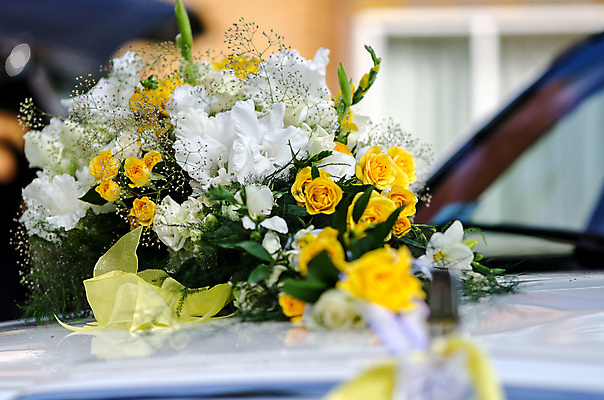 포토 JPG 해외이미지 꽃 꽃다발 결혼 백그라운드 꽃무늬 자동차 자연 결혼식 사랑 이벤트 사람없음 야외 장식 파란색 장미 노란색 낭만 흰색 축하 신선 고급 다발 배열 칼라꽃 해외202009 해외포토 식물 감정 육상교통 컬러 컨셉 무늬 생태계 파일형식