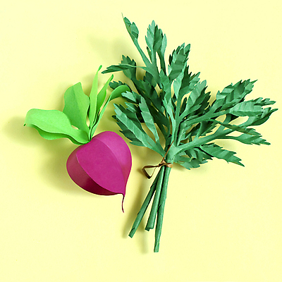 포토 JPG 해외이미지 모양 디자인 종이 음식 백그라운드 컨셉 잎 농업 다이어트 채소 재료 자연 아이디어 파슬리 건강 요리 미술 취미 사람없음 장식 세트 컬러풀 농장 노란색 유행 3D 주방 식사 수확 상품 자르기 먹기 오브젝트 수공예 거짓 숙성 인공 채식주의자 총각무 핸드메이드 스타일 현실 비건 해외202009 해외포토 식물 산업 컬러 모션 문화예술 무 공예 디지털합성 생태계 채식 파일형식