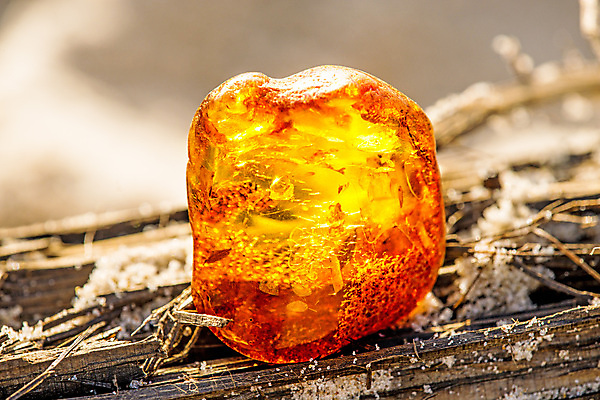 포토 JPG 해외이미지 자연 사람없음 빛 주황색 투명 보석 화석 앰버 해외포토 컬러 광석 생태계 파일형식