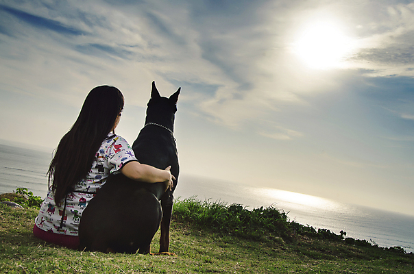 포토 JPG 해외이미지 동물 손 응시 여자 행복 바다 백그라운드 컨셉 자연 함께함 사랑 사람 사람없음 친구 반려동물 우정 개 강아지 주인 돌봄 해외202009 해외포토 시선 감정 포유류 관계 모션 신체부위 생태계 파일형식