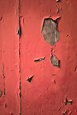 포토 JPG 해외이미지 디자인 패턴 자연 표면 날씨 추상 주택 사람없음 목재 문 페인트 수확 거친 질감 복고 그런지 옛날 해외202009 해외포토 나무 무늬 농업 재료 건물 생태계 파일형식