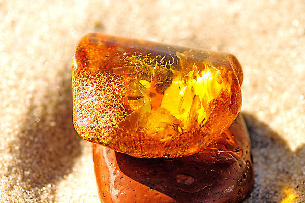 포토 JPG 해외이미지 자연 사람없음 빛 주황색 투명 보석 화석 앰버 해외포토 컬러 광석 생태계 파일형식