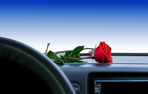 포토 JPG 해외이미지 식물 꽃 행복 도로 분홍색 꽃다발 백그라운드 교통시설 자동차 유리 휴가 실내 발렌타인데이 선물 사랑 경사 사람없음 내부 장식 빨간색 장미 공백 낭만 축하 판넬 바퀴 고급 심볼 사인 주기 계기판 자동 테마 해외202009 해외포토 감정 길 육상교통 컬러 교통 컨셉 모션 데이이벤트 재질 시설 파일형식