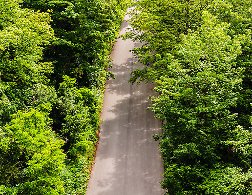 포토 JPG 해외이미지 나무 식물 계절 공원 도로 길 여행 낙엽 잎 포장 자국 자연 거리 안테나 풍경 사람없음 야외 초록색 여름 시골 황무지 정상 숲 오솔길 아스팔트 머리위 넘어짐 루트 방법 해외202009 해외포토 공공시설 컬러 통신 교통시설 모션 생태계 파일형식