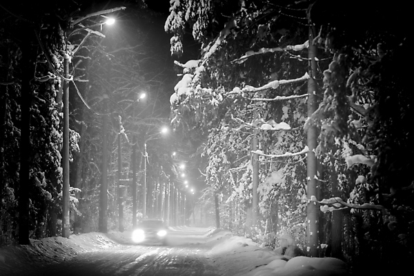 포토 JPG 해외이미지 나무 계절 공원 길 겨울 자동차 자연 거리 사람없음 야외 목재 빛 검은색 어둠 추위 흰색 야간 숲 자동 해외202009 해외포토 자연요소 식물 공공시설 육상교통 컬러 재료 생태계 파일형식