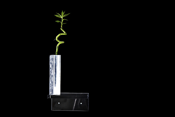 포토 JPG 해외이미지 나무 식물 1 계절 벽 줄기 컨셉 잎 자연 검은배경 새로움 사람없음 초록색 물 새싹 환경 정원 봄 성장 신선 그룹 작음 땅 원예 먼지 땅바닥 모종 생태학 스타일 카피스페이스 세련 해외202009 해외포토 자연요소 교육 컬러 백그라운드 바닥 취미 검은색 공백 크기 생태계 파일형식