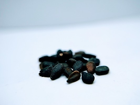 포토 JPG 해외이미지 식물 꽃 음식 백그라운드 다이어트 재료 자연 건조 건강 요리 씨앗 동양인 사람없음 목재 약 쌓기 숟가락 검은색 흰색 조미료 고수 낟알 인도인 먹기 허브 유기농 날것 흙더미 내추럴 고립 로마인 작살 채식주의자 비건 해외202009 해외포토 외국인 나무 웰빙 컬러 의학 모션 수저 인종 흙 향신료 생태계 채식 향미료 파일형식 더미