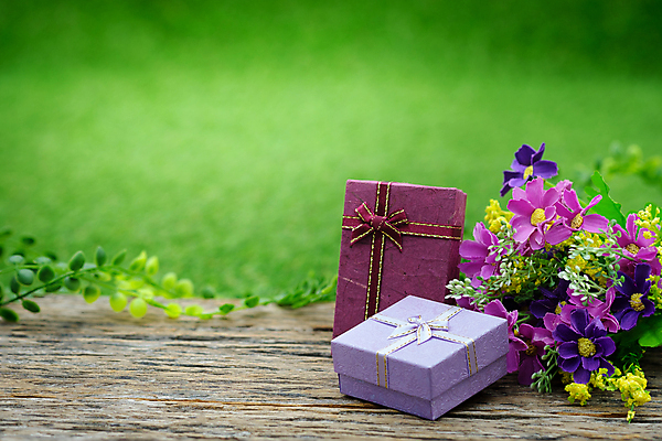 포토 JPG 해외이미지 나무 디자인 기념일 꽃 리본 종이 백그라운드 잎 크리스마스 밭 휴가 새로움 아이디어 발렌타인데이 선물 미술 잔디 사람없음 목재 장식 초록색 빛 상자 맑음 축제 놀람 흰색 축하 생일 연도 오브젝트 활 감사 가치 수공예 소통 뒤뜰 썩음 엘리먼트 특별함 해외202009 해외포토 식물 감정 컬러 컨셉 농업 재료 데이이벤트 날씨 문화예술 표정 이벤트 공예 파일형식