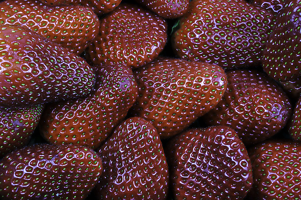 포토 JPG 해외이미지 계절 열매 음식 백그라운드 다이어트 과일 딸기 디저트 건강 식이요법 사람없음 장식 가로 빨간색 여름 신선 그룹 달콤 맛 오브젝트 유기농 질감 칼로리 비타민 내추럴 숙성 채식주의자 많음 해외202009 해외포토 식물 웰빙 컬러 컨셉 채식 영양소 파일형식