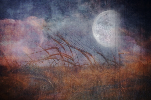 포토 JPG 해외이미지 구름 디자인 백그라운드 밭 농업 일러스트 상상 자연 하늘 추상 미술 풍경 초원 사람없음 야외 여름 파란색 빛 어둠 황혼 새벽 수확 달 시골 거친 분위기 야간 신비 낟알 땅 밀 달빛 질감 장면 공상 그런지 옛날 호밀 수평선 해외202009 해외포토 자연요소 계절 산업 컬러 컨셉 무늬 문화예술 곡류 일몰 생태계 파일형식