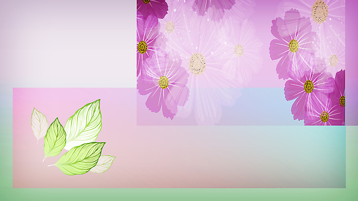 포토 JPG 해외이미지 모양 식물 디자인 꽃 종이 분홍색 꽃다발 백그라운드 잎 꽃무늬 패턴 일러스트 자연 벽지 추상 그림자 미술 경사 사람없음 장식 초록색 유행 봄 인사 생일 엽서 초대 기하학 직사각형 엘리먼트 파스텔톤 카피스페이스 해외202009 해외포토 도형 계절 기념일 컬러 무늬 문화예술 공백 예절 편지 생태계 파일형식