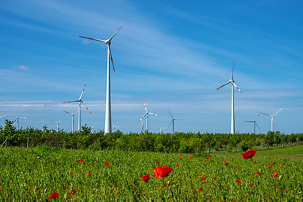 포토 JPG 해외이미지 산업 밭 하늘 바람 독일 사람없음 파란색 환경 힘 재활용 발전기 에너지 보호 생태계 프로펠러 회전 양귀비 지구온난화 자원 세대 유지 혁명 개발 기후변화 효율 획기적 해외202009 해외포토 자연요소 꽃 유럽 컬러 컨셉 농업 날씨 발전소 변화 친환경 파일형식